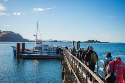Otago Peninsula Wildlife Cruise with Monarch