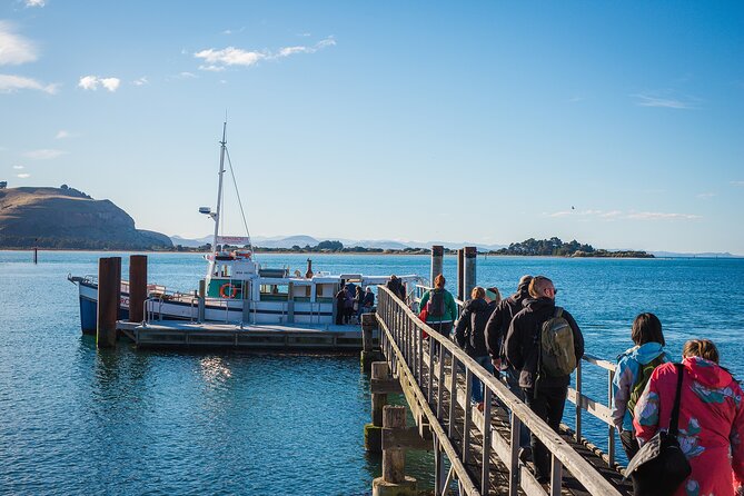 Otago Peninsula Wildlife Cruise with Monarch - Getting There from Dunedin, and Why the Meeting Point Matters