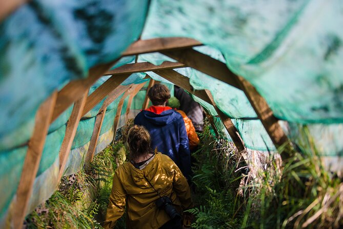 Otago Peninsula Wildlife Tour & Cruise - Key highlights at a glance