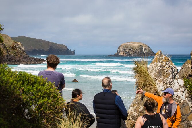 Otago Peninsula Wildlife Tour & Cruise - Where this Otago Peninsula day fits in your Dunedin plans