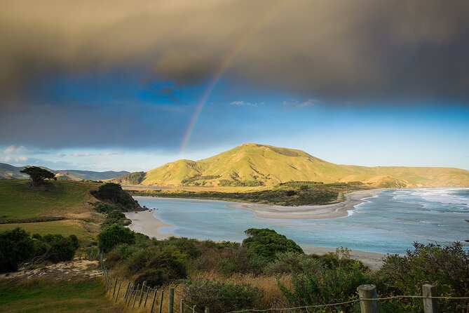 Otago Peninsula Wildlife Tour & Cruise - Stop 4, the Yellow-eyed Penguin Conservation Reserve and rehab centre