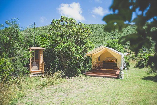 Overnight Experience Tour on Kapiti Island - Kapiti Island overnight: why staying is the point