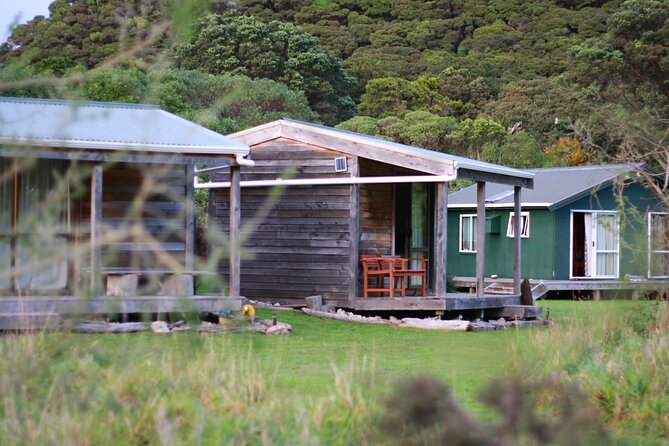 Overnight Experience Tour on Kapiti Island - Day 1 on island: check-in, hikes for different fitness levels, and dinner