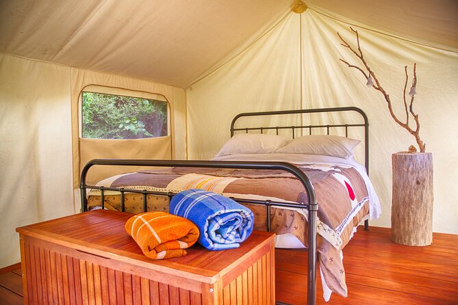 Overnight Experience Tour on Kapiti Island - Price and value: how $415.16 pencils out