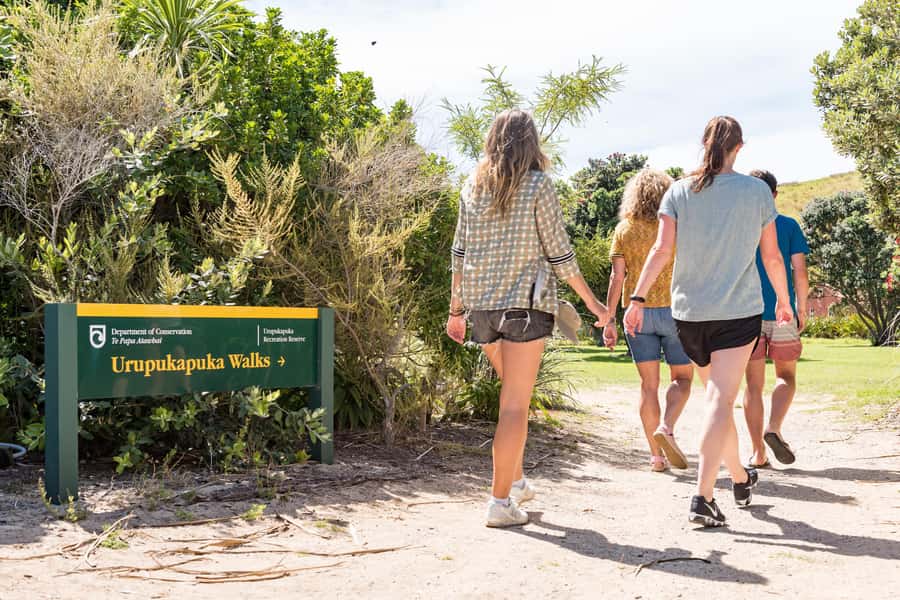 Paihia: Bay of Islands Dolphin Eco Cruise & Island Stopover - Price and value: what $89 gets you, and what it does not