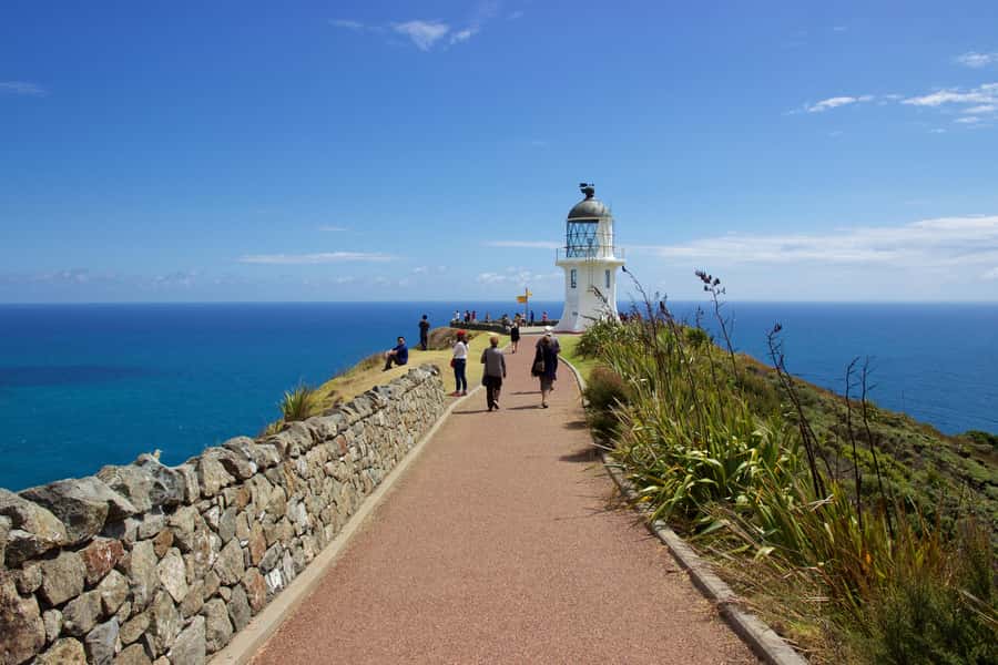 Paihia: Cape Reinga and Ninety Mile Beach Trip with Lunch - Key highlights I’d plan around