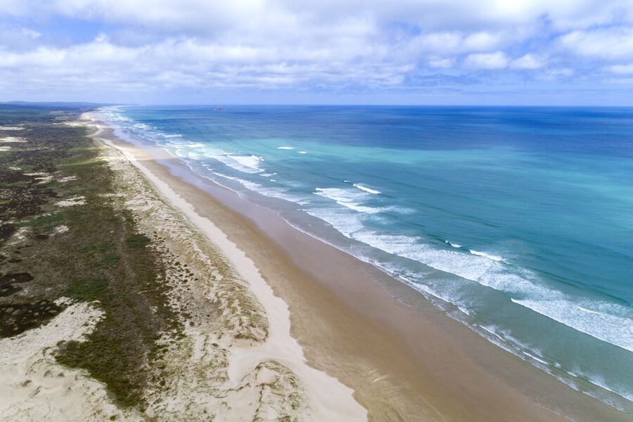 Paihia: Cape Reinga and Ninety Mile Beach Trip with Lunch - Price and value: what you’re really paying for