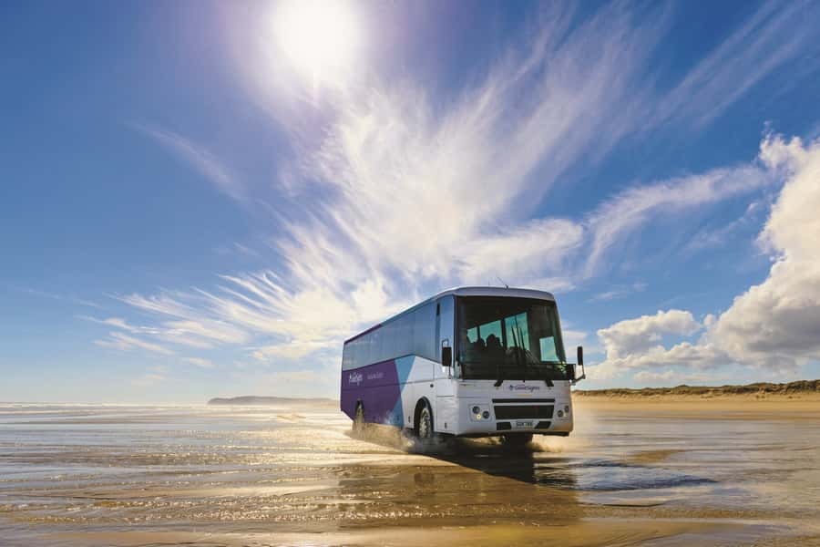 Paihia: Cape Reinga and Ninety Mile Beach Trip with Lunch - Your 11-hour day plan, and how to not feel rushed