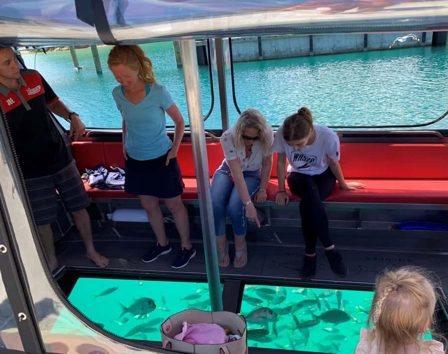 Paihia: Glass Bottom Boat Tour to the Hole in the Rock - From Paihia Main Wharf to open water: the 150-minute flow