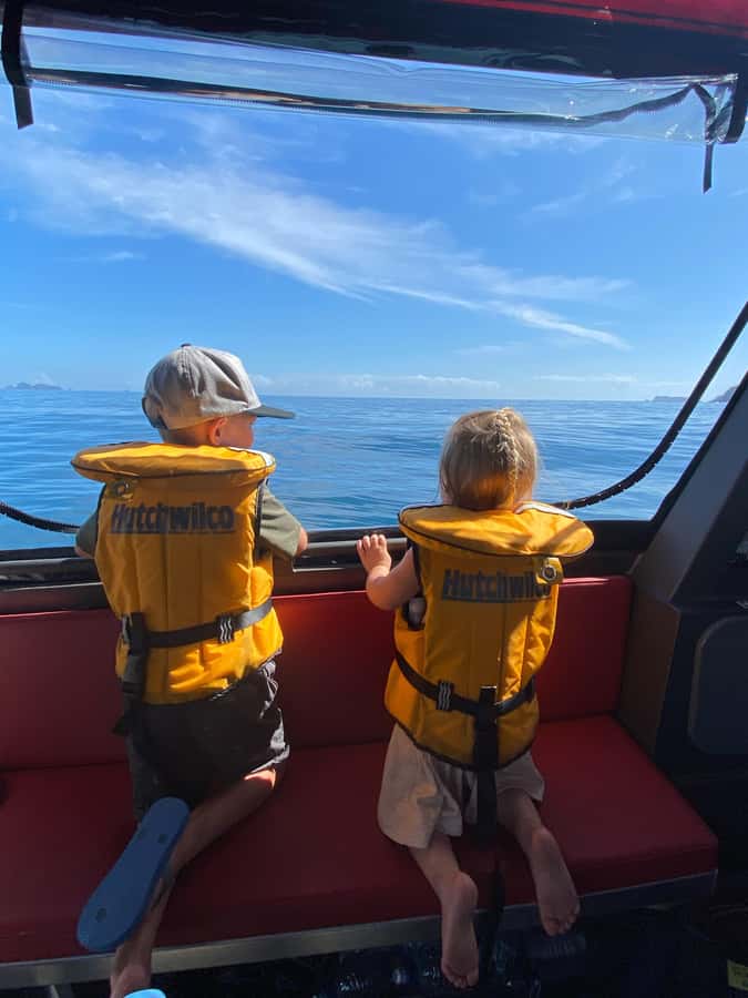 Paihia: Glass Bottom Boat Tour to the Hole in the Rock - Price and value: is $74 per person worth it?