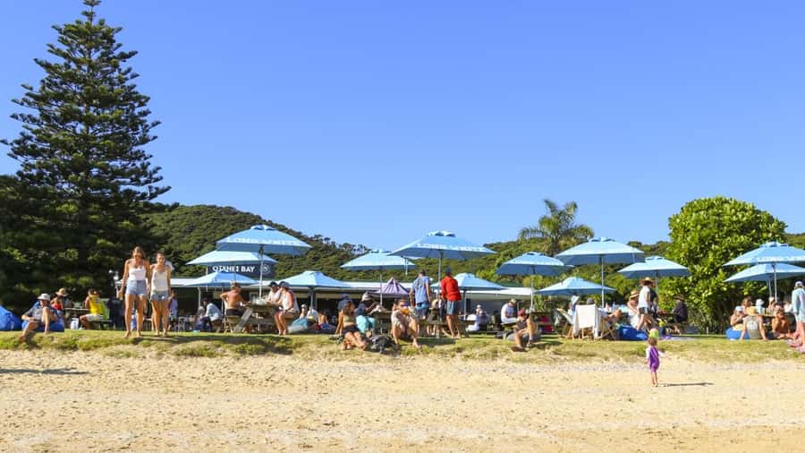 Paihia: Hole in the Rock Fast Boat with Island Stopover - Key points to know before you go