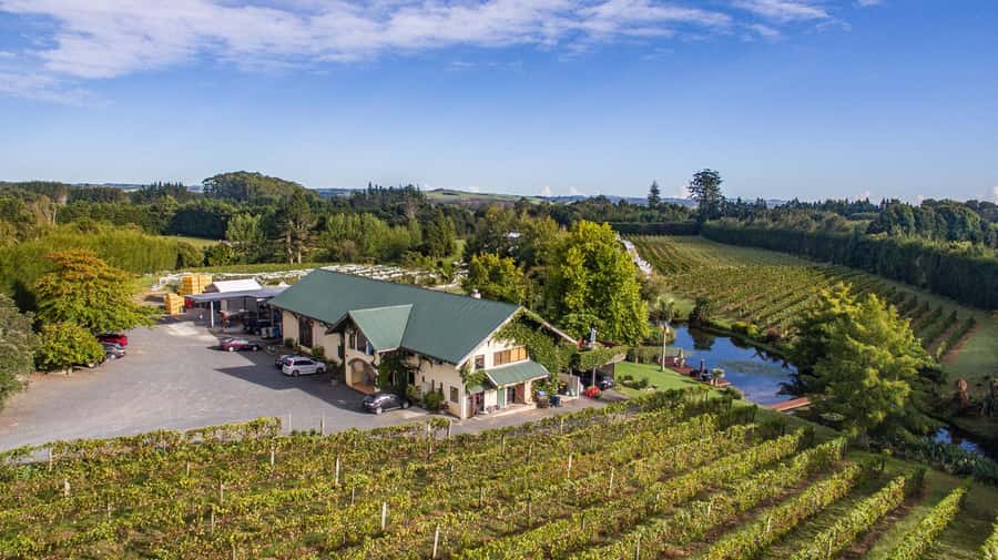 Paihia or Kerikeri: Wine, Spirit, & Craft Beer Tour - Marsden Estate Wine Tastings Plus a Platter Lunch by the Lake
