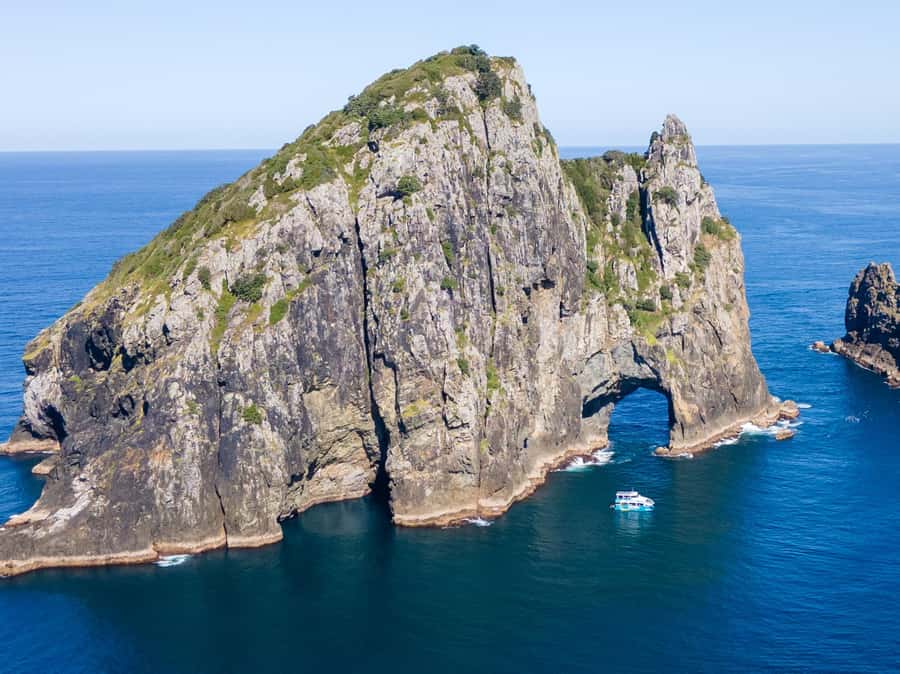 Paihia/Russell: Hole in the Rock Cruise with 2 Island Stops - Key things that make this cruise worth your time