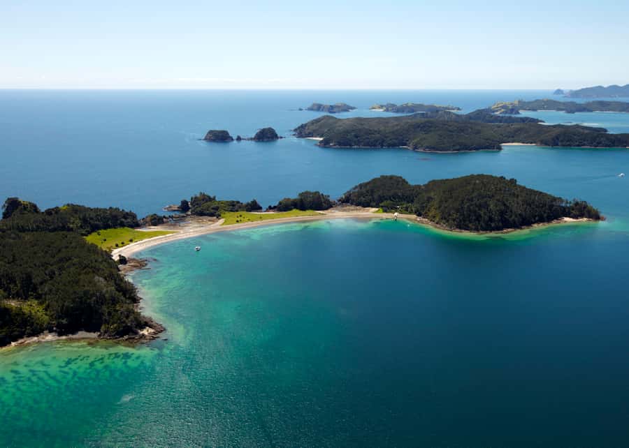 Paihia/Russell: Hole in the Rock Cruise with 2 Island Stops - Who this cruise fits best