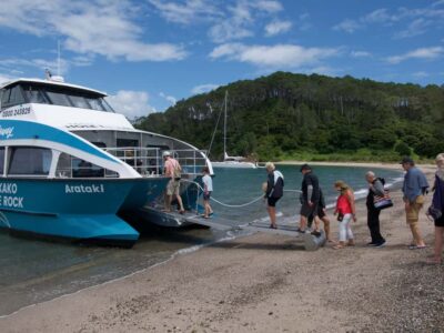 Paihia/Russell: Hole in the Rock Cruise with 2 Island Stops
