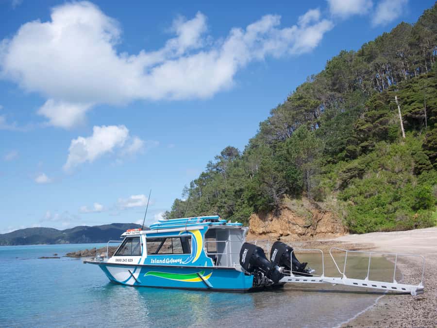 Paihia/Russell: Hole in the Rock Cruise with 2 Island Stops - Urupukapuka Island: where the swim and snorkeling time usually happens