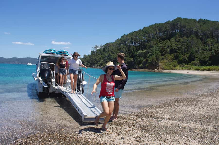 Paihia/Russell: Hole in the Rock Cruise with 2 Island Stops - Piercy Island photo stop, plus the marine-life spotting game