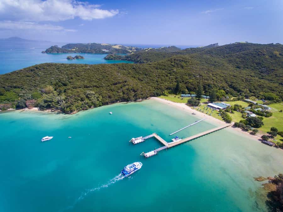 Paihia/Russell: Hole in the Rock, Dolphins & Island Cruise - Motukōkako, Piercy Island, and the weather reality
