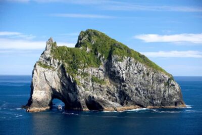 Paihia/Russell: Hole in the Rock, Dolphins & Island Cruise