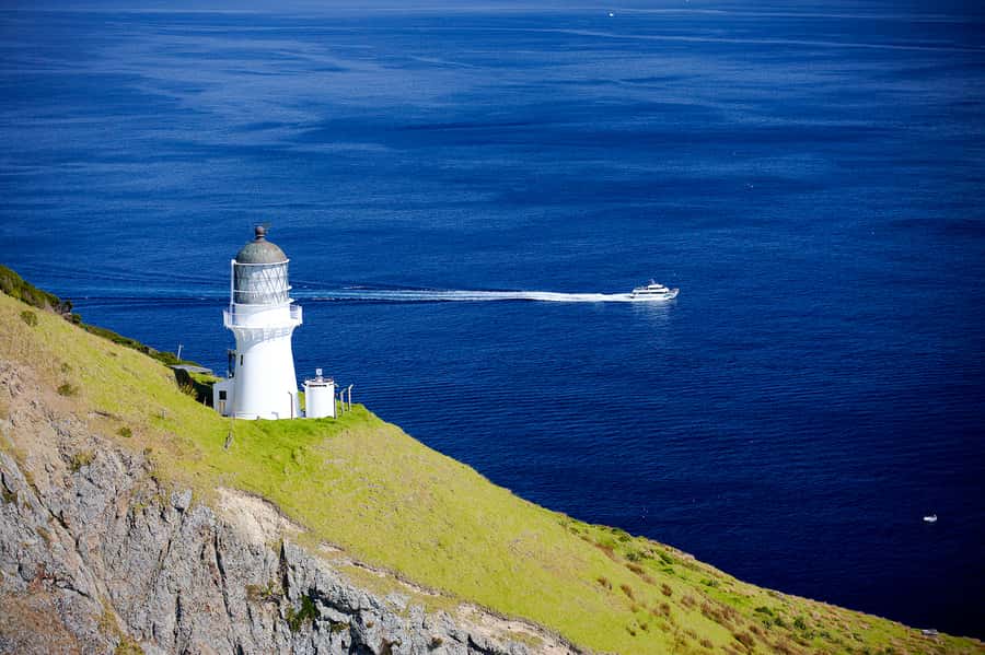 Paihia/Russell: Hole in the Rock, Dolphins & Island Cruise - Urupukapuka Island stop at Otehei Bay: swim, walk, refuel