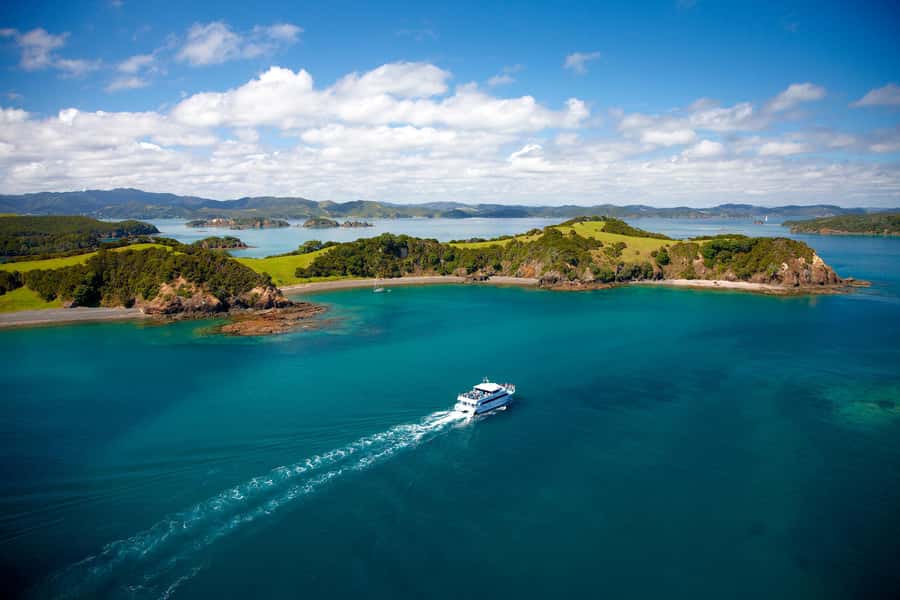Paihia/Russell: Hole in the Rock, Dolphins & Island Cruise - Price and value at around $95 per person
