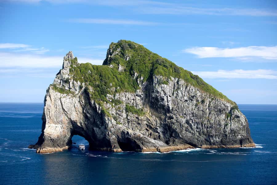 Paihia/Russell: Hole in the Rock, Dolphins & Island Cruise - From Paihia or Russell to Cape Brett: the sailing part