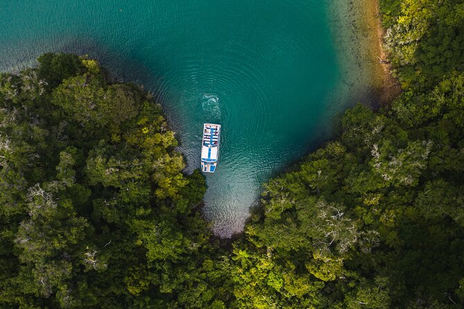 Pelorus Mail Boat Sunday Scenic Cruise – Full-Day from Havelock - Lunch choices at the Foote Family Farm or Te Rawa Lodge