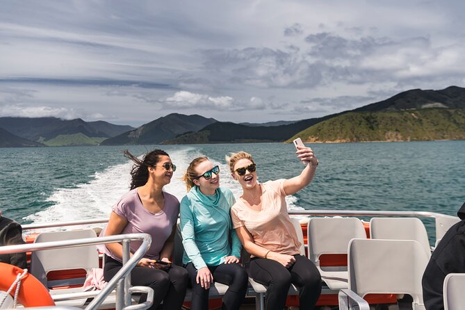 Pelorus Mail Boat Sunday Scenic Cruise – Full-Day from Havelock - Crew commentary and the isolated life behind the scenery