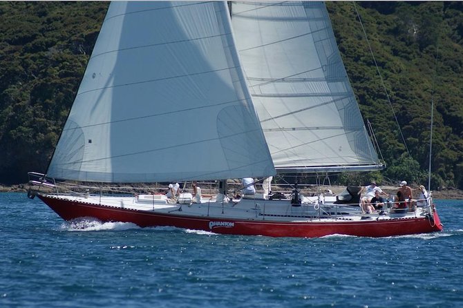 Phantom Sailing Bay of Islands - Key reasons Phantom Sailing hits