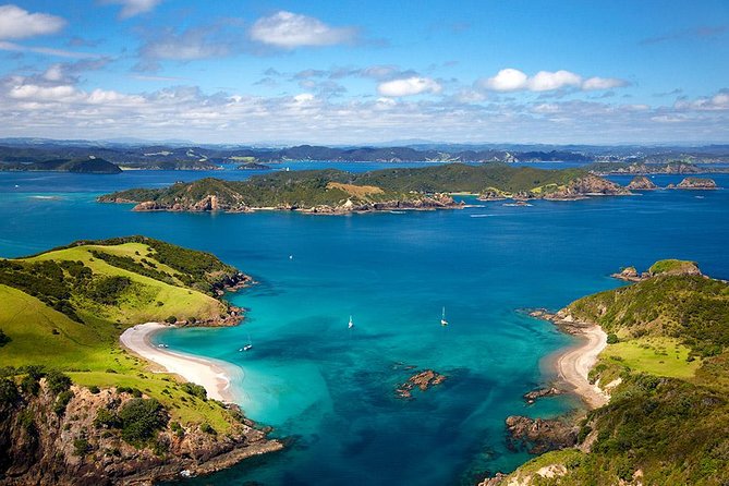 Phantom Sailing Bay of Islands - Snorkeling in the Bay of Islands, without the hassle