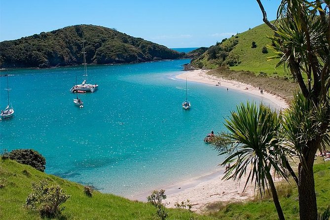 Phantom Sailing Bay of Islands - Lunch on deck: simple, home-made, and timed perfectly