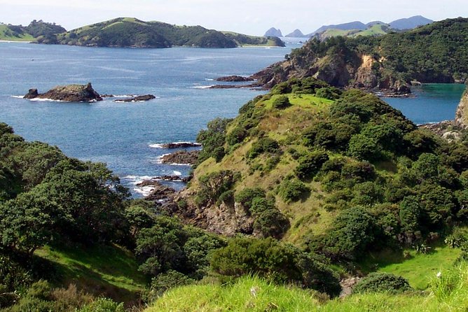 Phantom Sailing Bay of Islands - The island stop: your one-hour hike plus sea time