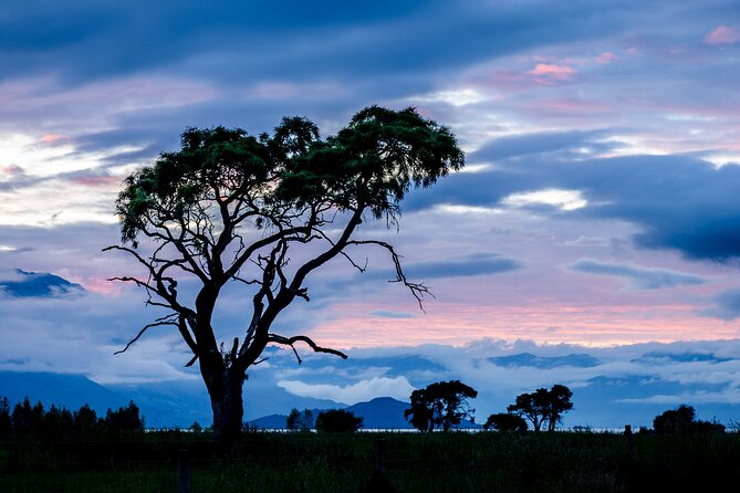 Photography Tour from Queenstown to Glenorchy - 1/2 Day - How Glen Howey Teaches You to Get Better Photos