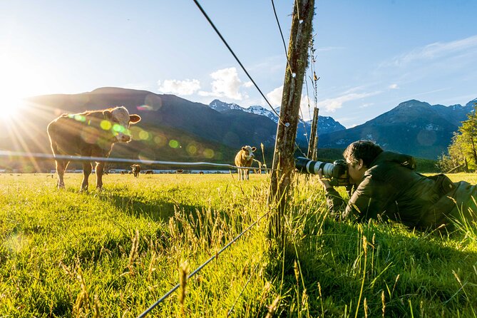 Photography Tour from Queenstown to Glenorchy - 1/2 Day - Price and Value: Is $235.82 Worth It?