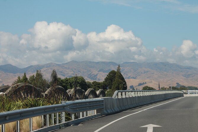 Picton & Blenheim Scenic Tour - Key Highlights (What You’ll Notice Fast)