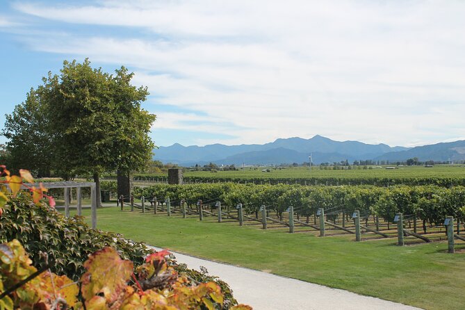 Picton & Blenheim Scenic Tour - Blenheim Time: The Main Town as Your Quiet Anchor