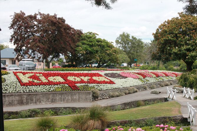 Picton & Blenheim Scenic Tour - The Vines Village Lunch Window: Where You Can Recharge