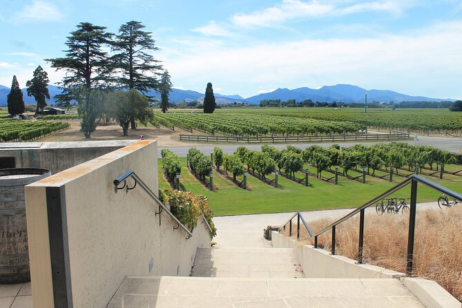 Picton & Blenheim Scenic Tour - Winery Tasting of Four Wines: Alcohol Included, Expectations Managed