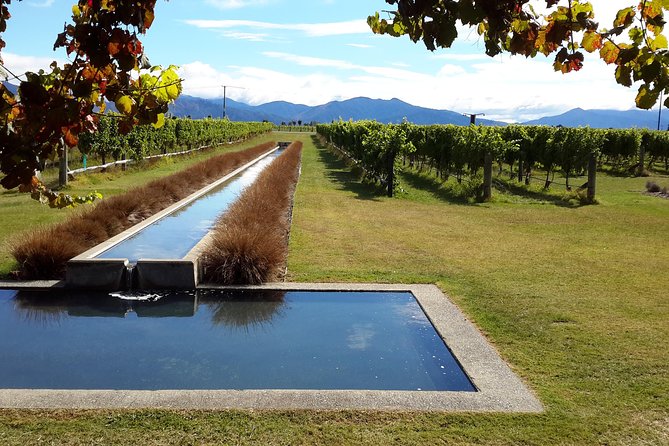 Picton Cruise Ship Shore Excursion Marlborough Wine Tour - Who This Marlborough Tour Fits Best