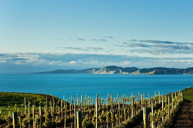 Picton Cruise Ship Shore Excursion Marlborough Wine Tour - Four to Five Cellar Doors, Plus Tastings That Teach You