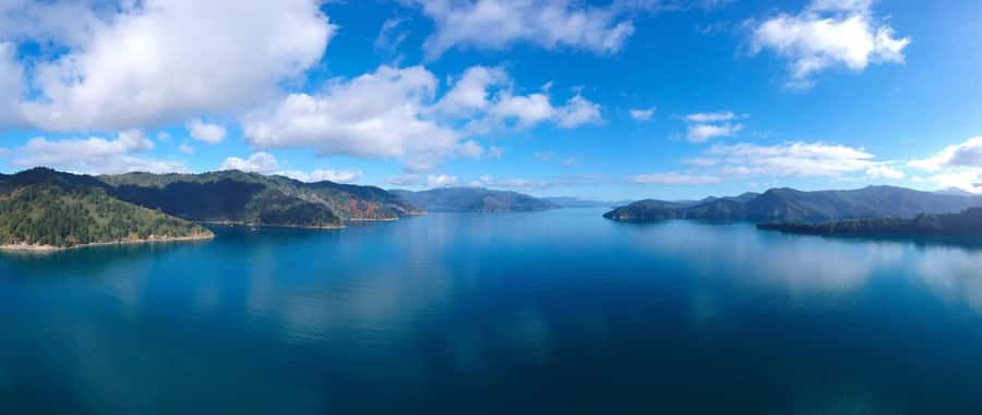 Picton Shore Excursion: Queen Charlotte Sounds Cruise - Seating, comfort, and getting on and off the boat