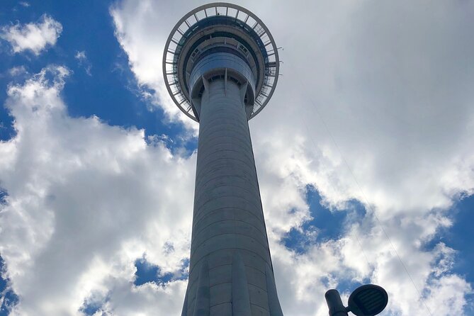 Piha Beach - Low Tide Walks and Rock Formations: How to Get More From Piha