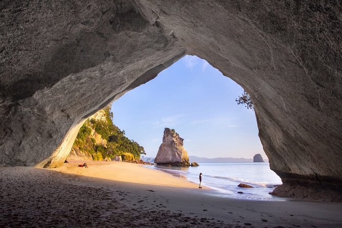 Piha Beach & Wilderness Nature : PRIVATE TOUR 8 hrs - Optional Arataki and Karekare: bring a rain plan, not just a sunny one