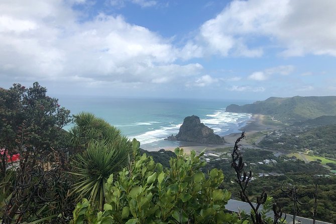 Piha Waitakere Rainforest Wine Tour from Auckland - Why West Auckland is the smart pick from Auckland