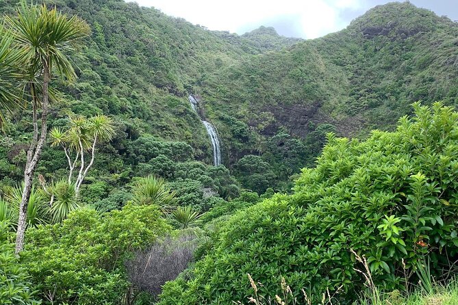 Piha Waitakere Rainforest Wine Tour from Auckland - Waitakere Ranges and Karekare Falls: the rainforest part you will remember