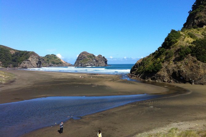 Piha Waitakere Rainforest Wine Tour from Auckland - Meeting up and how the day runs (without getting mentally tired)