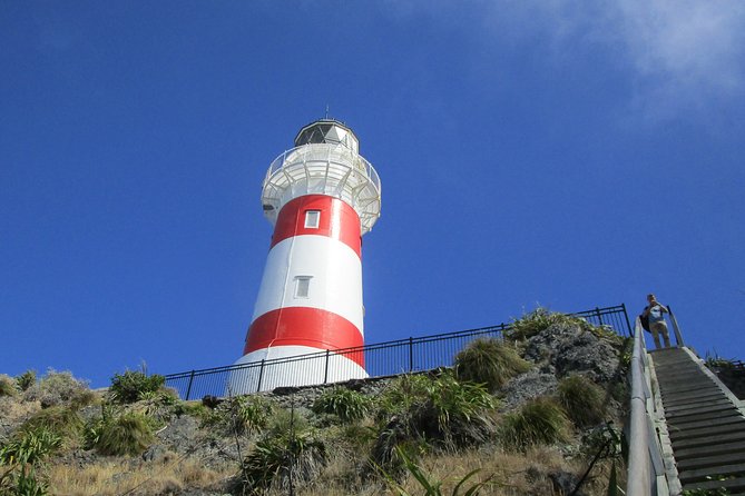 "Pinot to Palliser tour" - Guided tour to Cape Palliser vith lunch + winetasting - Key highlights worth marking on your map