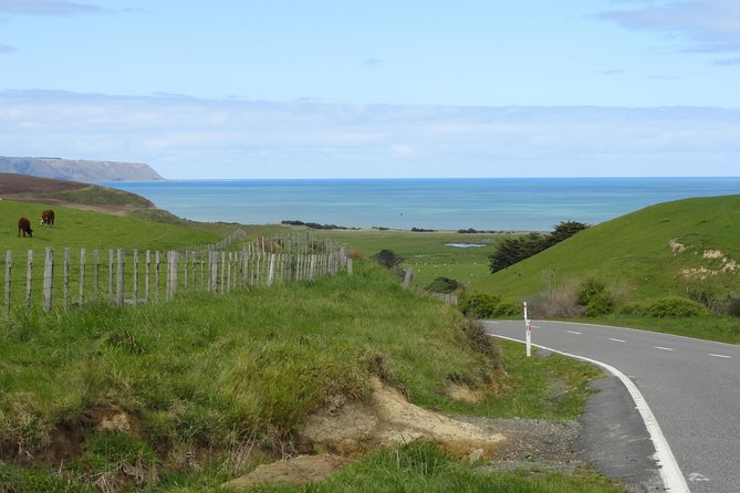 "Pinot to Palliser tour" - Guided tour to Cape Palliser vith lunch + winetasting - Martinborough to Cape Palliser: why this trip feels like two vacations
