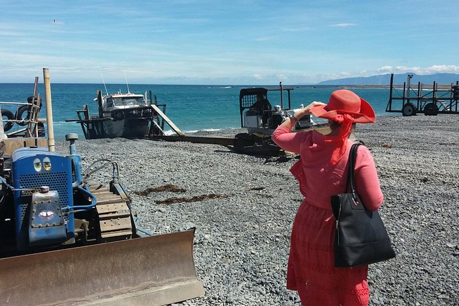 "Pinot to Palliser tour" - Guided tour to Cape Palliser vith lunch + winetasting - Ngawi and Babe the pink bulldozer: a quirky stop with real local flavor