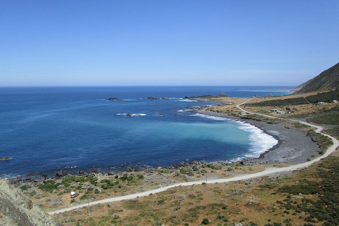 "Pinot to Palliser tour" - Guided tour to Cape Palliser vith lunch + winetasting - Cape Palliser lighthouse climb: the big viewpoint payoff